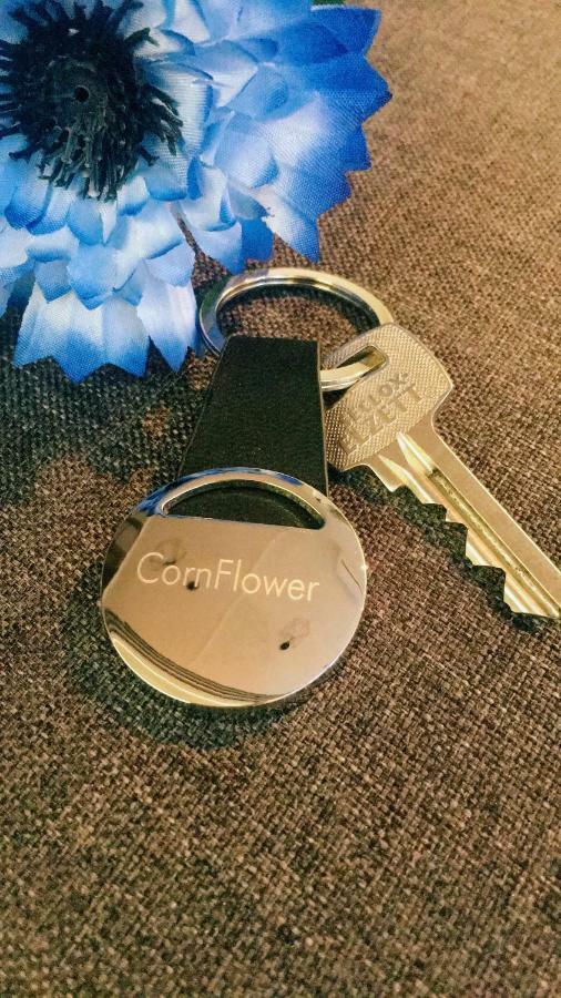 Cornflower Apartment Hajdúszoboszló Eksteriør billede